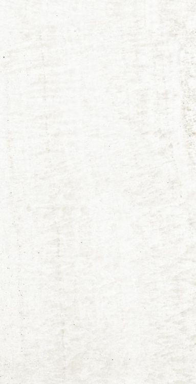 OL Onyx White Polished 12 x 24